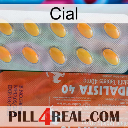 Cial 43